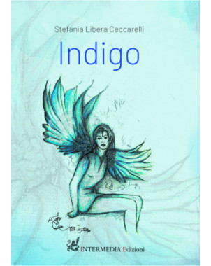 Indigo, di Stefania Libera Ceccarelli